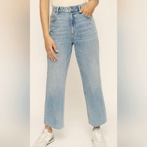 Dynamite Tyra Wide Leg Jeans